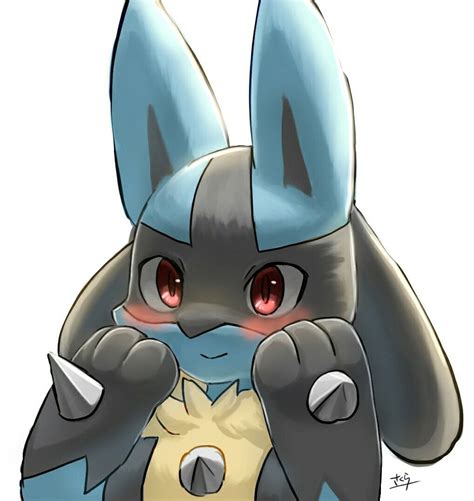 show me pictures of lucario.